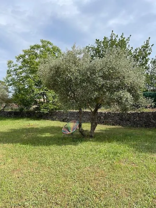 Le Calme De La Campagne Proche De Tout..... Les Arcs-sur-Argens 0*,  France